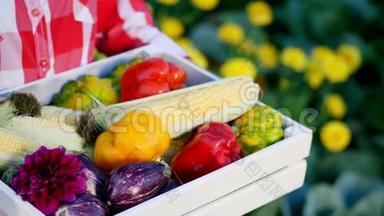 特写镜头，一位农民用白色的木箱展示了丰收的景象，不同的新鲜蔬菜，玉米，胡椒，茄子，西葫芦